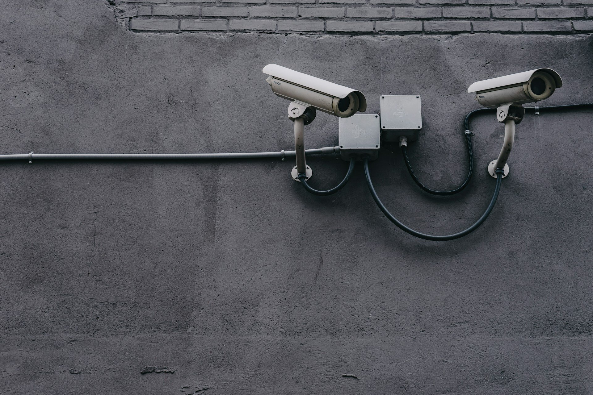 scott-webb-yekGLpc3vro-unsplash-1